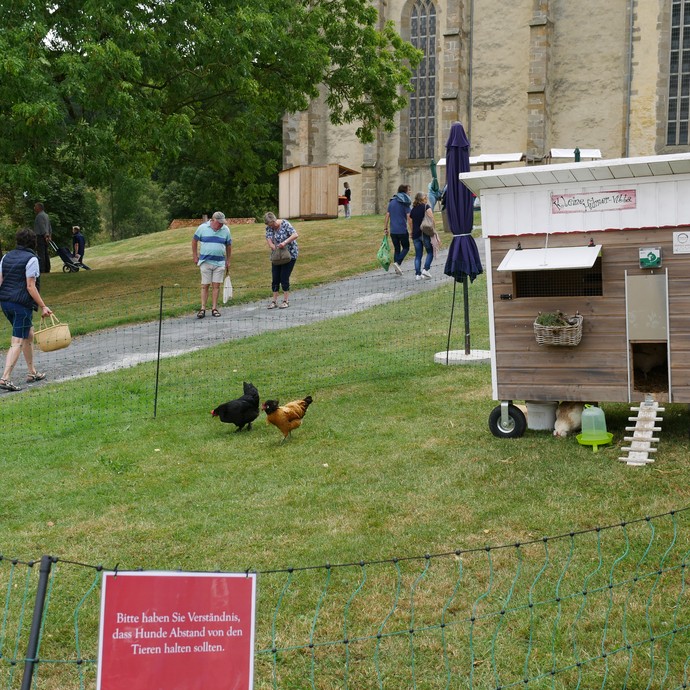 Das Hühnermobil von Wantüns Hof auf dem Klostermarkt

Foto: LWL/Pillen (öffnet vergrößerte Bildansicht)