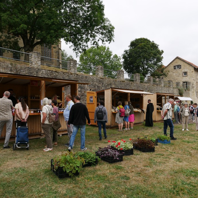 Übersicht über das Klostermarktgelände

Foto: LWL / Pillen (öffnet vergrößerte Bildansicht)