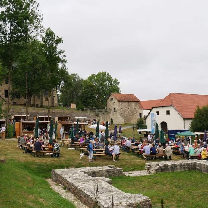 Übersicht über das Klostermarktgelände

Foto: LWL/Pillen (öffnet vergrößerte Bildansicht)