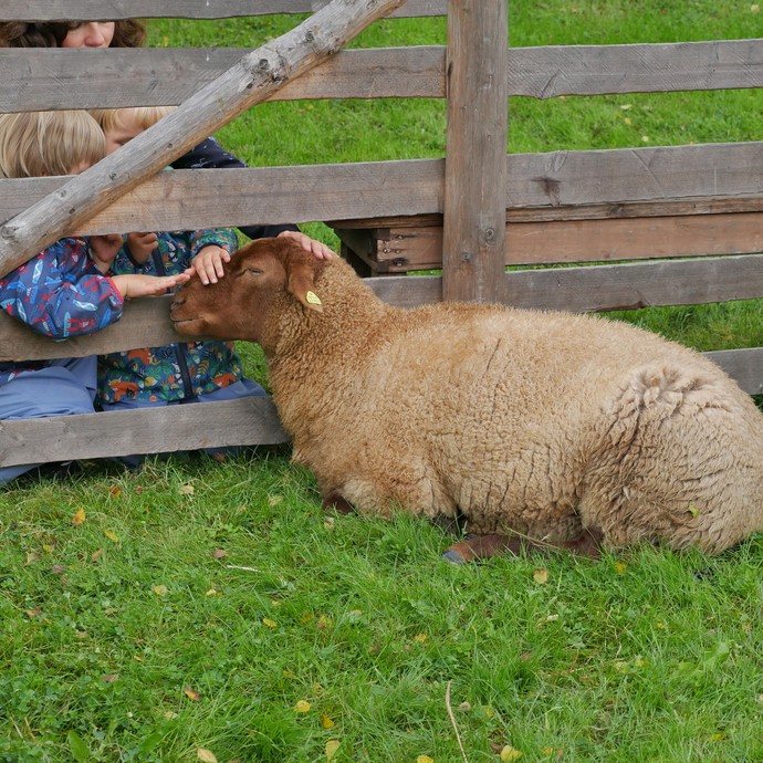 Streichelzoo

Foto: LWL (öffnet vergrößerte Bildansicht)