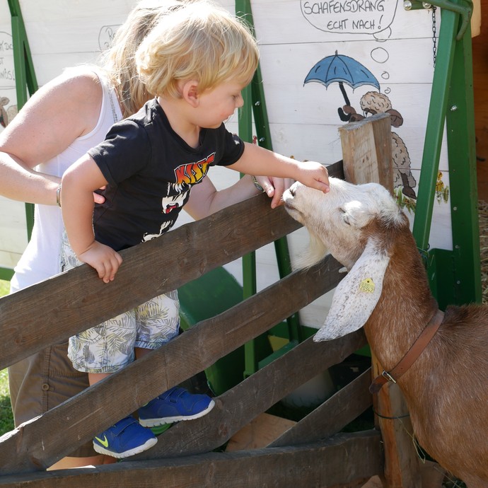 Auf dem Foto sieht man einen kleinen Besucher des Klostermarktes, der eine Ziege streichelt.

Foto: LWL (öffnet vergrößerte Bildansicht)