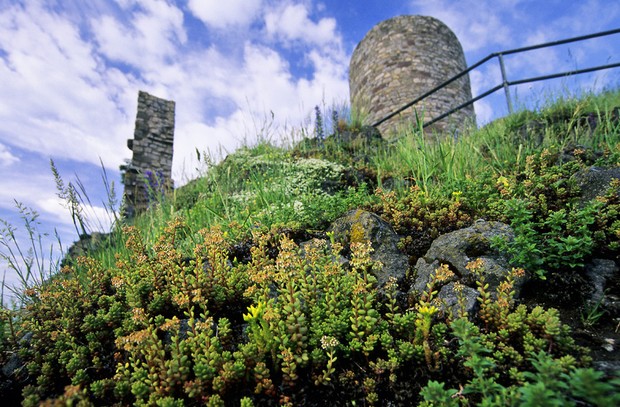 Auf dem Foto ist ein Teil des Teutoburger Waldes zu sehen.

Foto: Wolfgang Peters